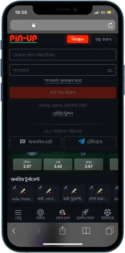 Pin Up BD Login 1